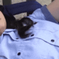 マングリ返し GIF エロ画像